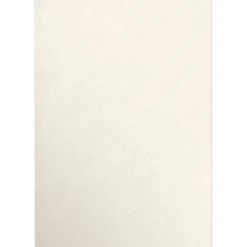 JAM Paper 13" x 19" Color Multipurpose Paper, 80 lbs., Champagne Metallic, 50 Sheets/Ream (1319-P-CHAM-50)