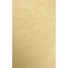 JAM Paper 8.5" x 14" Color Multipurpose Paper, 80 lbs., Blonde Metallic, 50 Sheets/Ream (81214-P-BLON-50)