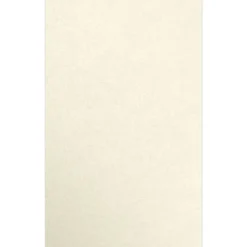 JAM Paper 8.5" x 14" Multipurpose Paper, 80 lb., Champagne Metallic, 50/Pack (81214-P-M08-50)