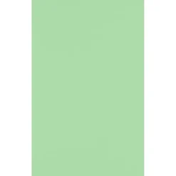 JAM Paper 11" x 17" Multipurpose Paper, 60 lbs., Pastel Green, 50/Pack (1117-P-67-50)