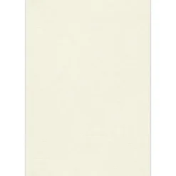 JAM Paper 13" x 19" Multipurpose Paper 80 lbs., Natural Linen, 50 Sheets/Ream /Pack (1319-P-NLI-50)