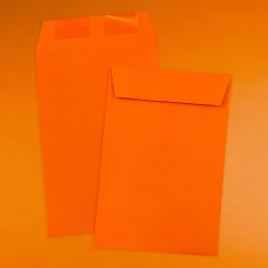 JAM Paper 6 x 9 Open End Catalog Colored Envelopes, Orange Recycled, 50/Pack (88129i)