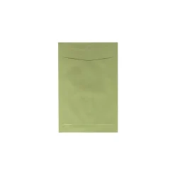 JAM Paper 6 x 9 Open End Catalog Envelopes, Olive Green, 10/Pack (31287526c)