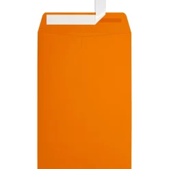 JAM Paper 6 x 9 Open End Envelopes ,Mandarin Orange, 50 Pack, Orange (EX1644-11-50)