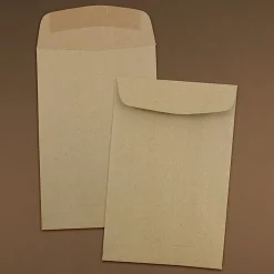 JAM Paper 6 x 9 Open End Kraft Catalog Envelopes, Brown Kraft Paper Bag, 50/Pack (51286524i)