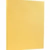 JAM PAPER 8.5" x 11" Vellum Bristol Index Cardstock, 100lb, Buff, 100/pack (169854G)