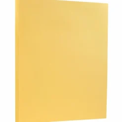 JAM PAPER 8.5" x 11" Vellum Bristol Index Cardstock, 100lb, Buff, 100/pack (169854G)