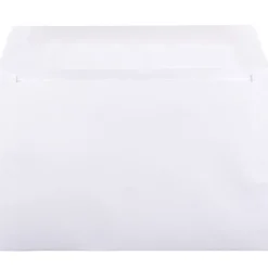 JAM Paper Booklet Commercial Envelopes, 6" x 9", White, 50/Pack (4238i)