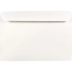 JAM Paper Booklet Envelope 6 1/2" x 9 1/2", White, 100/Pack (4241d)