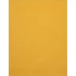 JAM Paper Catalog Envelope 10