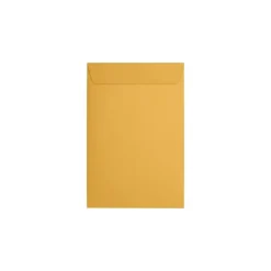 JAM Paper Catalog Envelope 6" x 9", Brown Kraft, 50/Pack (1693-50)