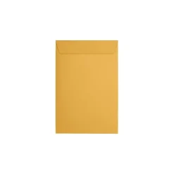 JAM Paper Catalog Envelope 6" x 9", Brown Kraft Manila, 50/Pack (1693i)