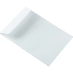 JAM PAPER Commercial Open End Catalog Envelopes, 6 1/2
