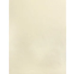 JAM Paper Handmade Two-Pocket Recycled Presentation Folders, Ivory Metallic, 100/Box (05964488B)