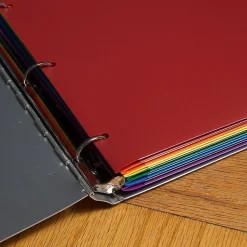 JAM Paper Heavy Duty 3 Hole Punch 2 Pocket Folder, Plastic, Assorted Primary Colors, 12/Pack (383HHPrgbypblb)