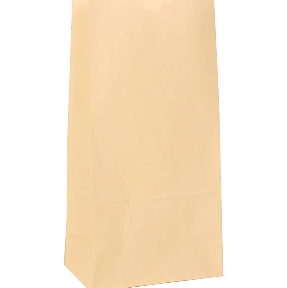 JAM Paper Kraft Lunch Bags, Small, 4.25" x 8" x 2.25", Ivory Kraft, Bulk 500 Bags/Box (690KRIVB)