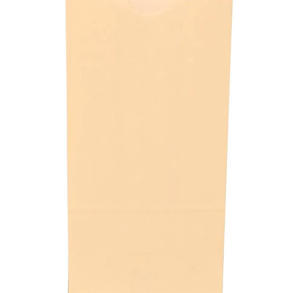 JAM Paper Kraft Lunch Bags, Small, 4.25" x 8" x 2.25", Ivory Kraft, Bulk 500 Bags/Box (690KRIVB)