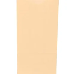 JAM Paper Kraft Lunch Bags, Medium, 5" x 9.75" x 3", Ivory Kraft, Bulk 500 Bags/Box (691KRIVB)