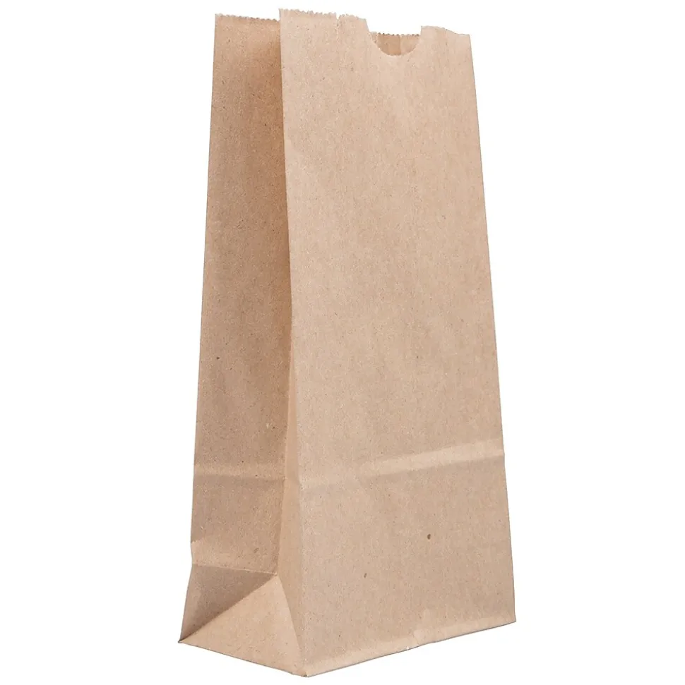 JAM Paper Kraft Lunch Bags, Brown, 25/Pack (690KRBR)