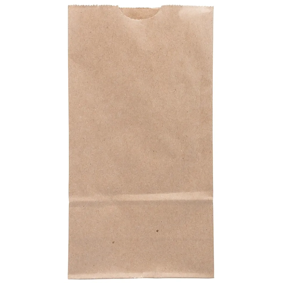 JAM Paper Kraft Lunch Bags, Brown, 25/Pack (690KRBR)
