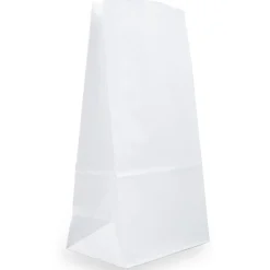 JAM Paper Kraft Lunch Bags, Large, 6" x 11" x 3.5", White, 25/Pack (692KRWH)