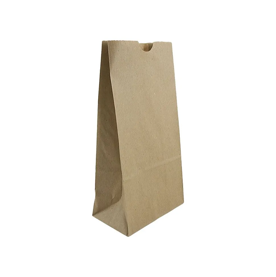 JAM Paper Kraft Lunch Bags, 8" x 4.25" x 2.25", Brown, 500/Pack (690KRBRB)