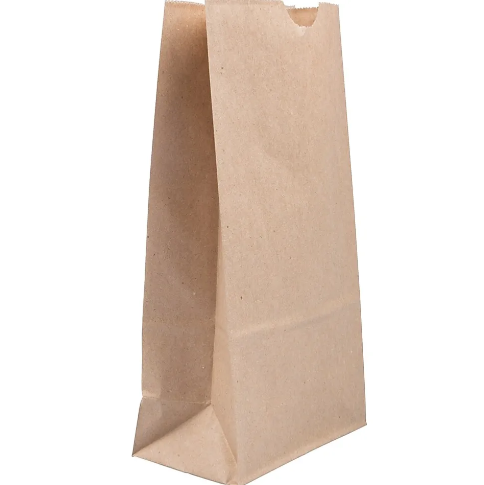 JAM Paper Kraft Lunch Bags, Medium, 5" x 9.75" x 3", Brown Kraft Recycled, Bulk 500 Bags/Box (691KRBRB)