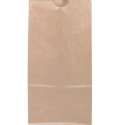 JAM Paper Kraft Lunch Bags, Medium, 5" x 9.75" x 3", Brown Kraft Recycled, Bulk 500 Bags/Box (691KRBRB)