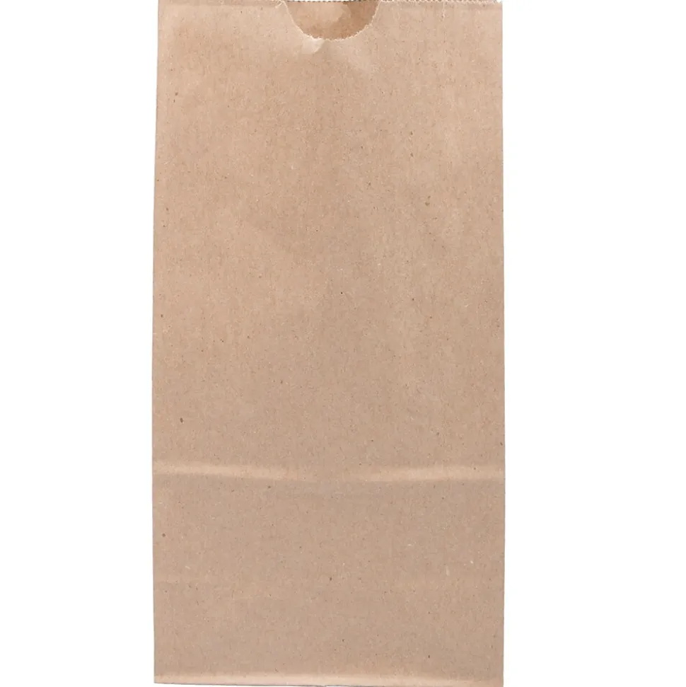 JAM Paper Kraft Lunch Bags, Medium, 5" x 9.75" x 3", Brown Kraft Recycled, Bulk 500 Bags/Box (691KRBRB)