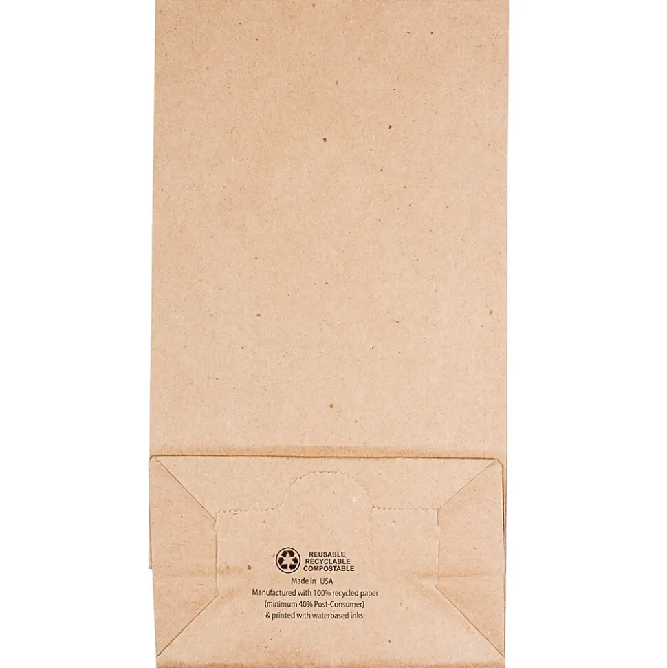 JAM Paper Kraft Lunch Bags, Medium, 5" x 9.75" x 3", Brown Kraft Recycled, Bulk 500 Bags/Box (691KRBRB)