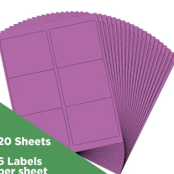 JAM Paper Laser/Inkjet Address Label, 4" x 3 3/8", Violet Purple, 6 Labels/Sheet, 12 Sheets/Pack (302725792)