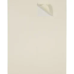 JAM Paper Laser/Inkjet Shipping Shipping Labels, 2