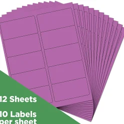 JAM Paper Laser/Inkjet Shipping Address Labels, 2" x 4", Violet Purple, 10 Labels/Sheet, 12 Sheets/Pack (302725790)