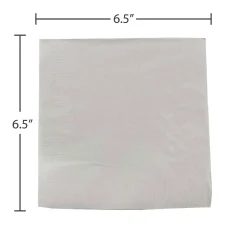 JAM Paper Lunch Napkin, 2-ply, Silver, 50 Napkins/Pack (255628827)