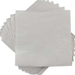 JAM Paper Lunch Napkin, 2-ply, Silver, 600 Napkins/Pack (255628827B)