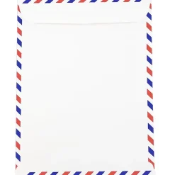 JAM Paper Open End Catalog Envelope, 9" x 12", White, 100/Pack (1430744C)