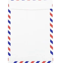 JAM Paper Open End Catalog Envelope, 6" x 9", White, 25/Pack (1430743)