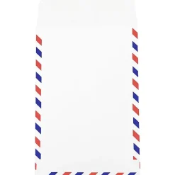 JAM Paper Open End Catalog Envelope, 6