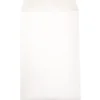 JAM Paper Open End Catalog Envelope, 6" x 9", White, 25/Pack (1623192)