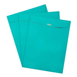 JAM Paper Open End Clasp Catalog Envelope, 9
