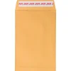 JAM Paper Peel and Seal Kraft Open End Catalog Envelope, 6" x 9", Brown, 500/Pack (13034199C)