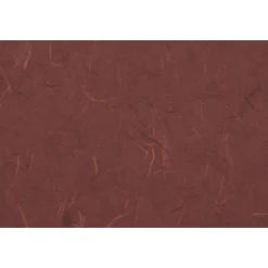 JAM Paper Portfolio Case with Drawstring Closure, Rainforest Burgundy (371679)