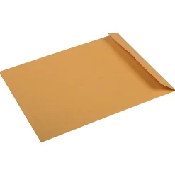 JAM Paper Premium Kraft Catalog Envelope, 10