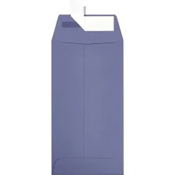 JAM Paper Self Seal #7 Coin Envelopes, 3 1/2" x 6 1/2", Purple, 250/Pack (7CO-106-250)