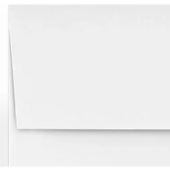 JAM Paper Self Seal A1 Booklet Envelope 3 5/8