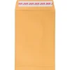 JAM Paper Self Seal Catalog Envelope, 6" x 9", Brown Kraft Manila, 100/Pack (13034199D)