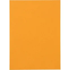 JAM PAPER Self Seal Catalog Envelopes, 5 1/2