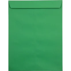 JAM Paper Self Seal Catalog Envelope, 9