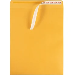 JAM Paper Self Seal Catalog Envelope 11 1/2
