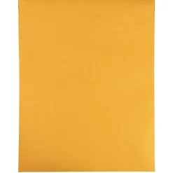 JAM Paper Self Seal Catalog Envelope 11 1/2